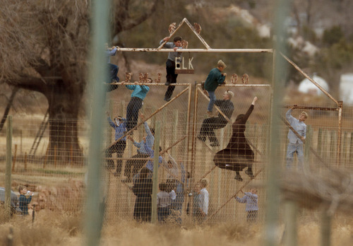 Trent Nelson | The Salt Lake Tribune
Without toys, bikes, or competitive sports allowed, the children of the FLDS live an active, outdoor life that seems to come from a different century. Here a group climbs a fence into what was once a thriving community zoo. Non-profit organization Holding Out Help will open a new community center Oct. 19 in the Hildale, Utah, and Colorado City, Ariz., region.
