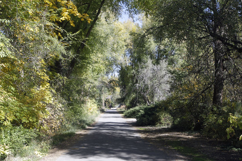 Al Hartmann  |  The Salt Lake Tribune
Long private tree-lined driveway near Walker Lane in Holladay, where Mitt Romney plans to build a new house.