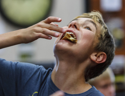 Trent Nelson  |  The Salt Lake Tribune
Spencer Milam samples a bean and cheese quesadilla. Heber Valley Food revolution is a group looking to improve nutrition education and food in schools. They demonstrated healthy options for lunches at Real Foods Market in Heber City, Thursday August 1, 2013.