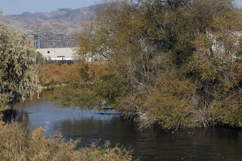 Chris Detrick  |  The Salt Lake Tribune
A general view near the Jordan River Surplus Canal near 2100 South and 1300 West in Salt Lake City Friday November 1, 2013. An inspection by the U.S. Army Corps of Engineers has determined that both banks of the Jordan River Surplus Canal are unacceptable problems. Salt Lake County has allocated $600,000 next year to shore them up. Once that's done, if the levee is damaged in a future flood, the Corps of Engineers will be eligible to assist with repairs, but otherwise, it's not.