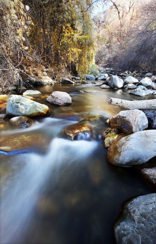 Francisco Kjolseth  |  The Salt Lake Tribune
Water flows in Big Cottonwood creek with the last of the fall color on Thursday, Oct. 31, 2013. A new study from the (NOAA) National Oceanic and Atmospheric Administration's Cooperative Institute for Research in Environmental Studies at the University of Colorado Boulder looked at the possible impacts of climate change on Salt Lake City's water supplies, including four streams - City Creek, Parley's Creek, Big Cottonwood Creek and Little Cottonwood Creek.