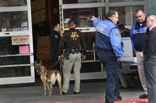 Scott Sommerdorf   |  The Salt Lake Tribune
Police set  up a perimeter and send in dogs to search the Home Depot at 2100 South and 300 West for a fugitive suspect in an auto theft that originated in West Valley City, Wednesday, Nov. 6, 2013.
