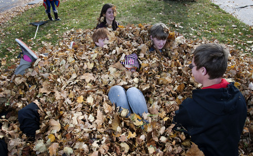 Steve Griffin  |  The Salt Lake Tribune


McGillis School students from kindergarten through eighth grade take turns jumping into the huge pile of leaves they worked together to rake during the school's annual  "Fall Leaf Haul"  in the Douglas Neighborhood surrounding the school in Salt Lake City, Utah Friday, November 8, 2013.