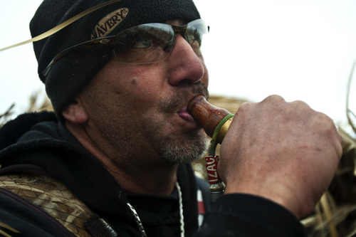 Chris Detrick  |  The Salt Lake Tribune 
Carl Taylor blows in a duck call while duck hunting with his dog JB in Farmington Bay Tuesday November 23, 2010.