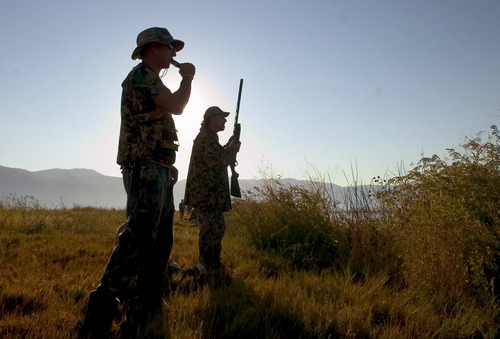 Al Hartmann  |  Tribune file photo
Nate Shipley, left, "calls" in ducks for his father Kirk Shipley during as the sun peeks over the Wasatch Mountains to start the duck hunting season at Farmington Bay.