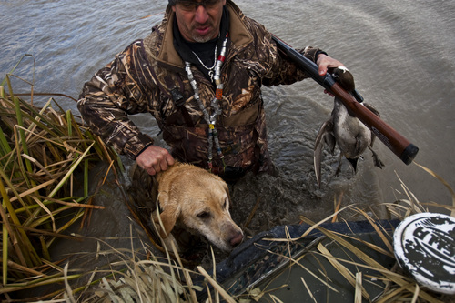 Chris Detrick  |  The Salt Lake Tribune 
Carl Taylor helps his dog JB get back into the boat after shooting a pintail duck in Farmington Bay Tuesday November 23, 2010.