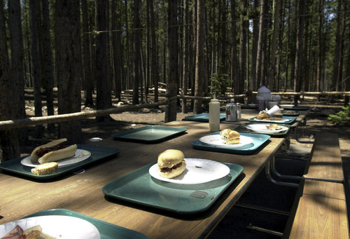 7/1/02
Grayson West/ Salt Lake Tribune

The uneaten lunches of Boy Scouts camping at the East Fork Bear River Boy Scout Camp in the Uintas, remain after 300 Boy Scouts were evacuated Friday afternoon due to fire.  The Uinta fire began near the campground.