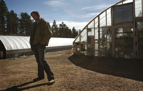 Leah Hogsten  |  The Salt Lake Tribune
Cannabis breeder Joel Stanley stands outside "the grow," two greenhouses at an undisclosed location in the mountains outside Colorado Springs. The Stanley brothers - Joel, Jesse, Jonathan, Jordan, Jared and Josh - dispense medical marijuana to cancer and auto-immune patients and parents of children with debilitating seizure disorders.