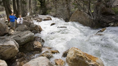 |  Tribune file photo

Albert Ramos of Queens New York and Lori Welsh of Brooklyn pause along the trail in Big Cottonwood Canyon to snap photos of a rushing Big Cottonwood Creek in 2009.