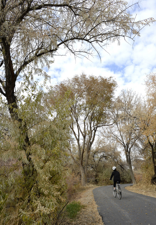 Al Hartmann  |  The Salt Lake Tribune
Last beautiful day of Autumn? Bicyclist rides along the Jordan River Parkway trail in West Jordan Wednesday November 13.