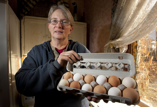 Steve Griffin  |  The Salt Lake Tribune


Julie Clifford holds a fresh carton of eggs that she sells from her home in Provo, on Thursday, November 7, 2013.
