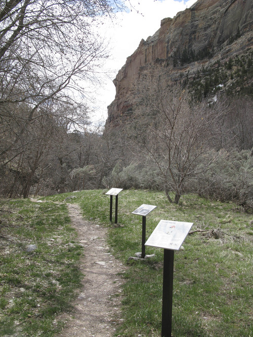 Brett Prettyman | The Salt Lake Tribune
The start of the Jones Hole Trail, which starts at the south end of the Jones Hole National Fish Hatchery and quickly moves on to Dinosaur National Monument Lands.