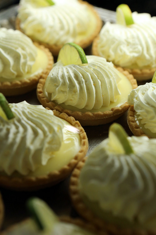 Francisco Kjolseth  |  The Salt Lake Tribune
Key lime tarts are on display at the new Kneaders Bakery & Cafe in Orem. The company celebrating its 16th anniversary replaces the company's first and original location in Orem that had gotten too small. Kneaders now has 25 stores in four states with more expansion plans in the works.