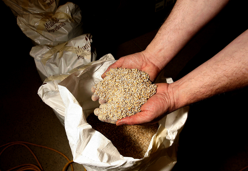 Scott Sommerdorf   |  The Salt Lake Tribune
Brewer Kevin Crompton holds a handful of freshly milled malt that will be the basis of the first beer to be brewed at The Annex, a new gastropub by the same folks who own Epic Brewing, Thursday, Dec. 5, 2013.