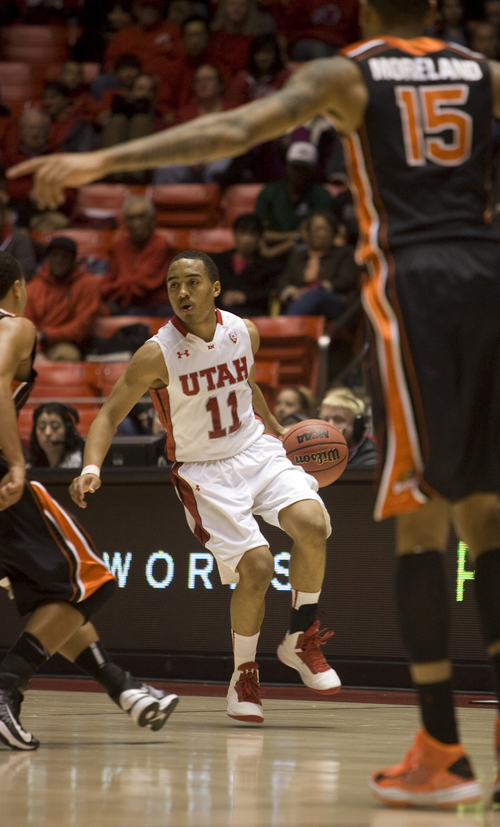 Kim Raff  |  The Salt Lake Tribune
Utah Utes guard Brandon Taylor (11) looks to pass the ball during a game against Oregon State at the Huntsman Center in Salt Lake City on March 7, 2013. Utah went on to win 72-61.