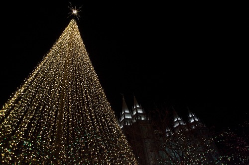 Chris Detrick  |  The Salt Lake Tribune 
Christmas lights illuminate Temple Square in Salt Lake City Friday November 26, 2010.