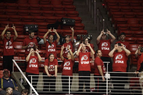 JIM MCAULEY | The Salt Lake Tribune
The University of Utah pep band cheers for the Utes during a free throw against the St. Katherine Firebirds at the University of Utah's Huntsman Center on December 28, 2013.