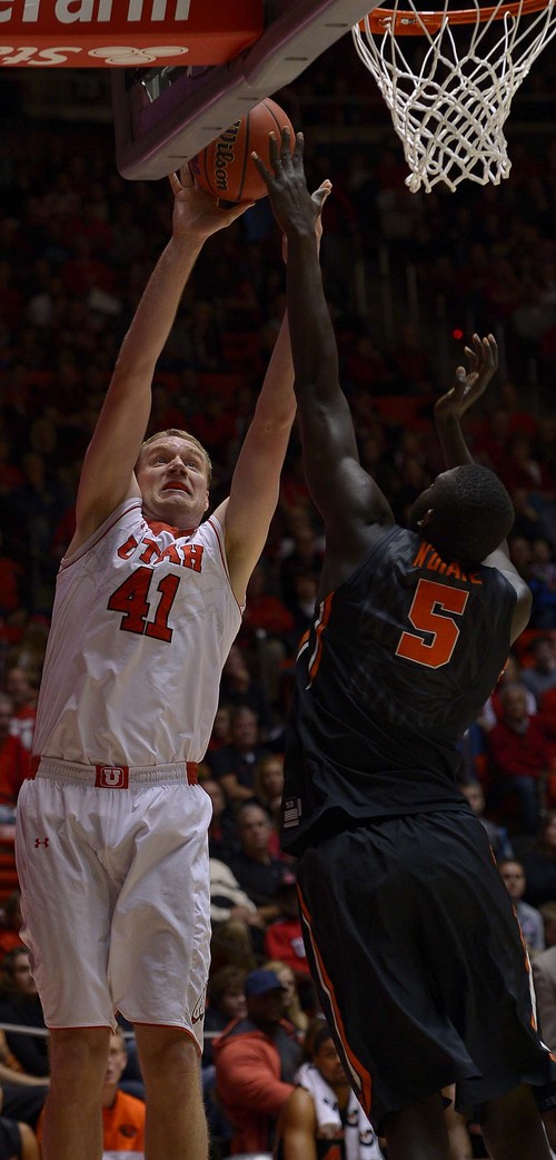 Leah Hogsten  |  The Salt Lake Tribune
Utah Utes center Jeremy Olsen (41) is fouled by Oregon State Beavers center Cheikh N'diaye (5) while driving to the net. The University of Utah defeated Oregon State 80-69 during their game Saturday, January 4, 2014 at the Huntsman Center.