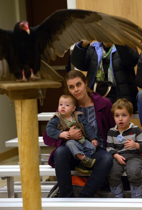 Leah Hogsten  |  The Salt Lake Tribune
l-r Jenna Pike and her sons Emiliano,1, and Felix, 3, learn about "Miss Irvana" the Turkey Vulture and her environment during Tracy Aviary's program "Exploring Our Communitrees."  The program teaches participants the hidden wonders of local trees up-close and personal, and provides a few nose-to-beak experiences with some of the native birds that call them home, Saturday, January 11, 2014
