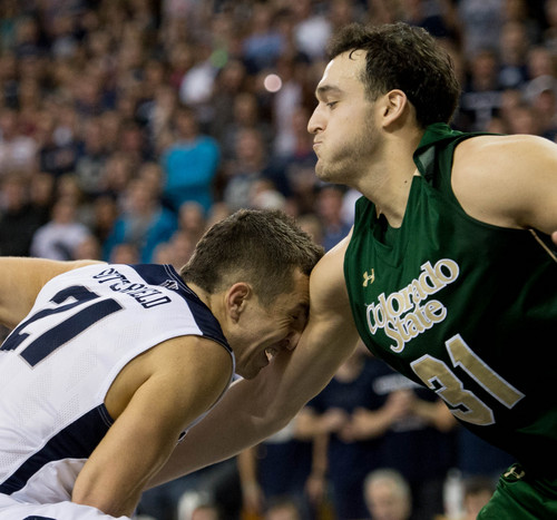 Trent Nelson  |  The Salt Lake Tribune
Utah State Aggies guard/forward Spencer Butterfield (21) collides with Colorado State Rams forward J.J. Avila (31) as Utah State University hosts Colorado State, NCAA basketball, Wednesday January 15, 2014 in Logan.