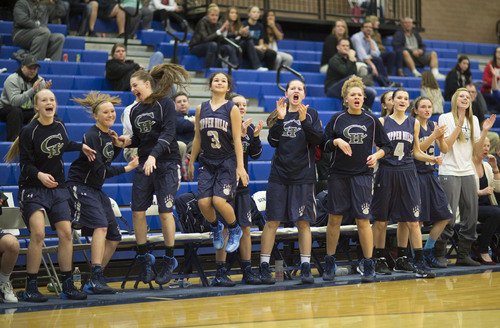 Lennie Mahler  |  The Salt Lake Tribune
The Copper Hills bench celebrates as it holds the lead in the fourth quarter agaisnt Bingham in a game Thursday, Jan. 16, 2013.