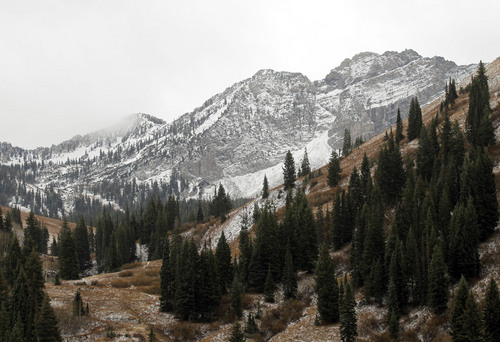Al Hartmann  |  The Salt Lake Tribune
 High peaks at Albion Basin above Alta recieved a skiff of snow from last  night's storm.
