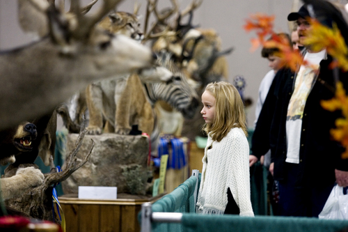 |  Tribune file photo

Breeann Schiffman of West Jordan is a little shocked to see a bear on display during the 2012 Western Hunting and Conservation Expo. This year's expo runs Thursday through Sunday at the Salt Palace Convention Center.