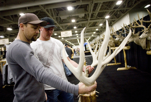 |  Tribune file photo

Frank Young and Cole Silcox look at the difference in size of antlers at the Muley Crazy booth during the 2012 Western Hunting and Conservation Expo. This year's expo runs Thursday through Sunday at the Salt Palace Convention Center.
