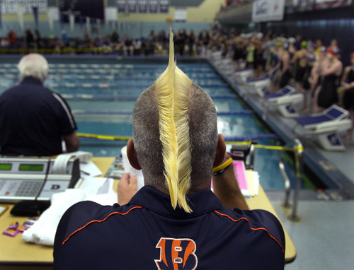 Scott Sommerdorf   |  The Salt Lake Tribune
Brighton swimming coach Todd Etherington's distinctive hairstyle marks his presence at the 3A state swim meet in the Richards Building at BYU, Saturday, Feb. 15, 2014.