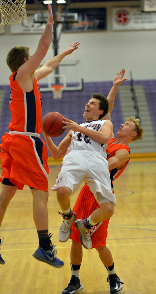 Keith Johnson | The Salt Lake Tribune

Morgan's Hunter Stanford (12) drives between Timpview's Riley Corbin (4) (left) and Timpview's Luke Sagers (12) during the finals of the Riverton Holiday Tournament in Riverton, Utah, December 31, 2013.