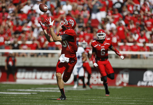 Scott Sommerdorf   |  The Salt Lake Tribune
Utah Utes wide receiver Sean Fitzgerald (83) pulls in a pass from QB Travis Wilson, and cruised 80 yards for Utah's second TD, for a 14-0 lead. Utah built a 49-0 halftime lead over Weber State, Saturday, September 7, 2013.