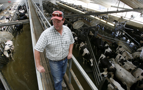 Elberta - Brad Bateman, a dairyman near Elberta, in Utah County, overlooks his milking parlor in this photo from August 2009. The Utah Legislature is considering SB73, which would afford farmers volunteering for the environmental stewardship program some protection from environmental regulation enforcement and lawsuits.
Photo by Francisco Kjolseth/The Salt Lake Tribune 8/4/2009