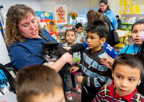 Trent Nelson  |  The Salt Lake Tribune
Star Lamping holds a cat for children to pet during the class Kids Love Mystery at the Rose Park Academy in Salt Lake City, Thursday, February 27, 2014. Rose Park Academy is a very successful, robust, and unique afterschool program designed to educate the whole child. It is a college preparatory program offering classes such as cooking, soccer, guitar, basketball, chemistry, anatomy, Spanish, visual arts, dance, Zumba, piano, Design Thinking, mad science, and more.