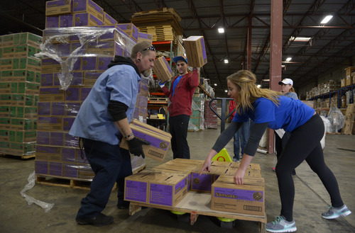 Rick Egan  | The Salt Lake Tribune 

workers pack up boxes of Girl Scout cookies on to pallets at the warehouse, Saturday, March 1, 2014.  Girl Scouts sold an astounding 1,556,952 boxes, averaging more than 325 boxes per-girl this year.