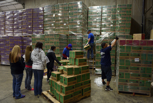 Rick Egan  | The Salt Lake Tribune 

workers pack up boxes of Girl Scout cookies on to pallets at the warehouse, Saturday, March 1, 2014.  Girl Scouts sold an astounding 1,556,952 boxes, averaging more than 325 boxes per-girl this year.