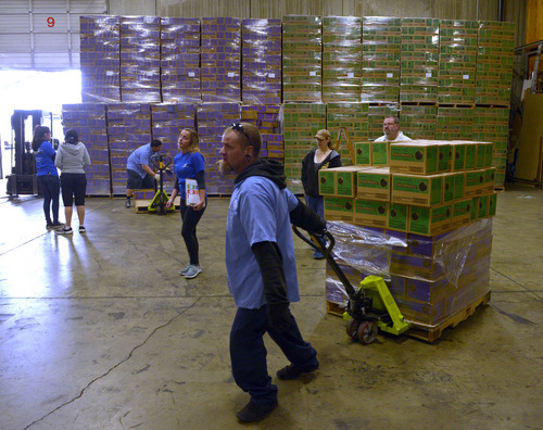Rick Egan  | The Salt Lake Tribune 

Robert Rudd pulls a pallet of girl scout cookies at the warehouse, Saturday, March 1, 2014.  Girl Scouts sold an astounding 1,556,952 boxes, averaging more than 325 boxes per-girl this year.