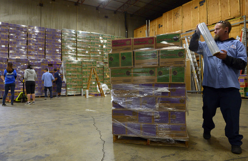 Rick Egan  | The Salt Lake Tribune 

Robert Rudd wraps up pallet of girl scout cookies to be picked up at the warehouse, Saturday, March 1, 2014.  Girl Scouts sold an astounding 1,556,952 boxes, averaging more than 325 boxes per-girl this year.