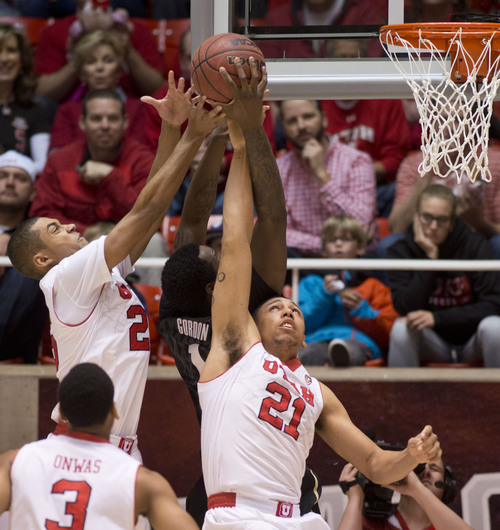 Lennie Mahler  |  The Salt Lake Tribune
Utah's Kenneth Ogbe and Jordan Loveridge defend against Colorado's Wesley Gordon at the rim in the first half of a game at the Huntsman Center, Saturday, March 1, 2014.
