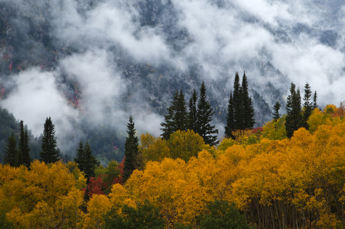 Chris Detrick  |  The Salt Lake Tribune
Fall colors in Little Cottonwood Canyon photographed Tuesday September 25, 2012. Salt Lake City expected a high temperature of 75 Wednesday, up a few degrees from Tuesday's forecast; Ogden looked for 73 and 70 degrees, respectively; Logan 75 and 71; Provo 72 and 68; Wendover 75 and 74; Duchesne 68 and 65; Cedar City 73 and 72; St. George 86 degrees both days; and Moab, 78 and 76.