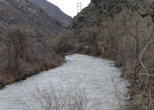 Leah Hogsten  |  The Salt Lake Tribune
The Weber River, along Interstate 84 in Weber County, Thursday, March 6, 2014.