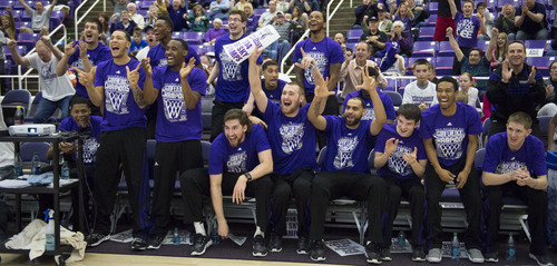 Steve Griffin  |  The Salt Lake Tribune


The Weber State Wildcats men's basketball team leaps from their seats as they celebrate their selection into the 2014 NCAA Basketball Tournament during selection party at the Dee Events Center in Ogden, Utah Sunday, March 16, 2014. Weber State will meet the number one seed Arizona Wildcats.