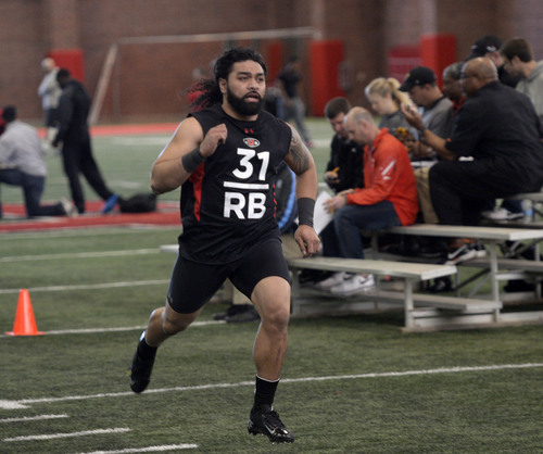 Al Hartmann  |  The Salt Lake Tribune
Ute running back Soni Kinikini sprints a 40 yard dash during the NFL Pro Day at the Spence Eccles Field House Wednesday March 19. 	Utah players did a variety of strength, agility, and speed drills to make an impression for NFL scouts.