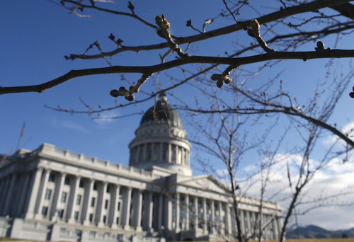 Al Hartmann  |  The Salt Lake Tribune 
Buds on ornamental cheery trees ringing the Utah State Capitol begin to swell.