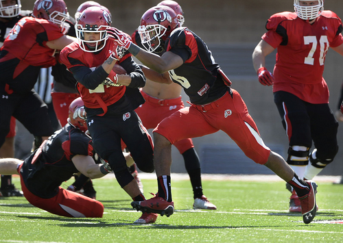 Scott Sommerdorf   |  The Salt Lake Tribune
Utah CB Eric Rowe closes fast to lay a hard hit on RB Troy McCormick during Utah football practice at Rice Eccles Stadium, Saturday, March 22, 2014.