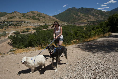Photo by Chris Detrick  |  The Salt Lake Tribune 
Nikki Christensen, of Sandy, walks her dogs Nakita, left, and Gizmo at Tanner Park in Salt Lake City Tuesday Aug. 17, 2010. The Salt Lake City Council on Tuesday, April 1, discussed proposals for more dog parks in the city and whether to charge residents to use them.