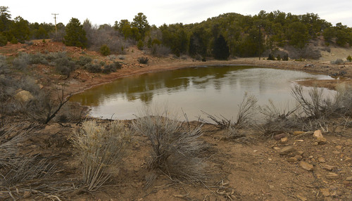 Leah Hogsten  |  The Salt Lake Tribune
Burnt sagebrush and oil-covered junipers line the perimeter of the pond at Citation Oil Company's #11 oil well leak in Dixie National Forest, Wednesday, April 2, 2014. "The oil made its way under the snow to a pond that was directly downhill from the release," according to a Forest Service statement. "On several occasions since the release, Citation Oil personnel ignited and burned off the oil that had gathered on top of the pond and around the edges." This spill is located about 10 miles southwest of the town of Escalante and about three miles north of the Little Valley leak in the Upper Valley Oil Field.