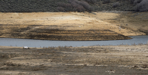 Steve Griffin  |  The Salt Lake Tribune

Low water levels at Jordenelle Reservoir expose the shore line near Heber, Utah Friday, April 4, 2014. The Natural Resources Conservation Service issued its Utah Water supply Outlook report, showing that the water situation is better in northern Utah than southern Utah.