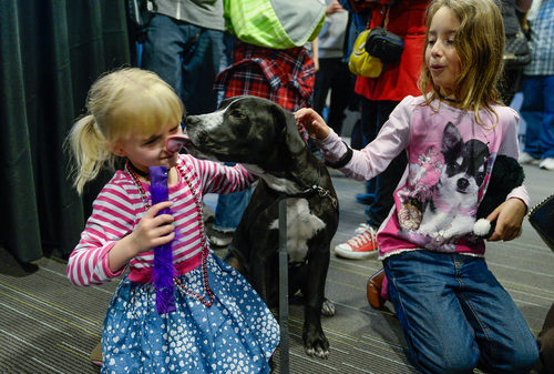 Franciso Kjolseth  |  The Salt Lake Tribune
Lexi Monroe, 4, gets a lick on the nose as she and Ellie McMurrin, 8, play with Mel who is up for adoption during the Best Friends Animal Society introduction of its NKUT (No-Kill Utah) initiative. Designed to make Utah the largest no-kill state in the country the special event kicked off at The Leonardo in Salt Lake City on Sunday, March 30, 2014. Three oversized visuals, each 8 feet tall, were unveiled that are typical of the images that will be seen throughout the state as part of the campaign.