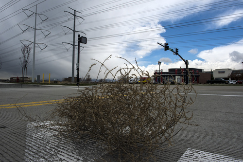 Chris Detrick  |  The Salt Lake Tribune
A tumbleweed at the South Jordan Station at 10351 South Jordan Gateway Wednesday April 2, 2014.
