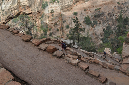 Erin Alberty  |  The Salt Lake Tribune
Hikers climb Walter's Wiggles, a series of switchbacks ascending out of Refrigerator Canyon en route to Angels Landing.